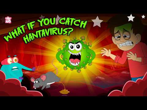 What is Hantavirus and How it Spreads? | What are the Symptoms of the Hantavirus? | Dr. Binocs