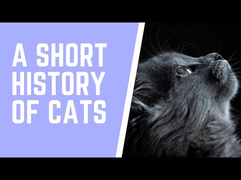A Short History Of Cats