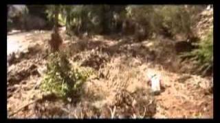 preview picture of video 'Burrangong Creek Debris left by Floods @ Young  11-December-2010'