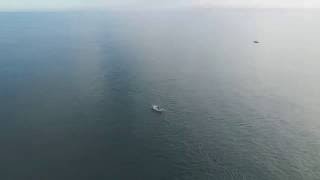 Flamborough head 2016