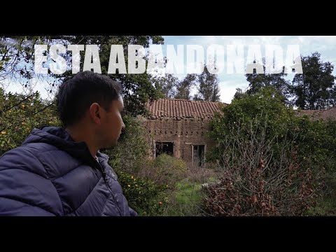 Enter the QUINTRALA HOUSE | Graneros