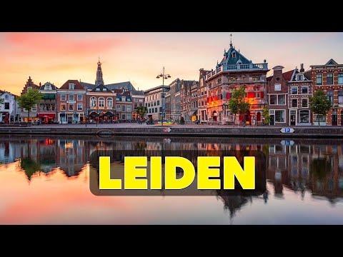 Leiden Highlights: What to See and Do in This Beautiful City
