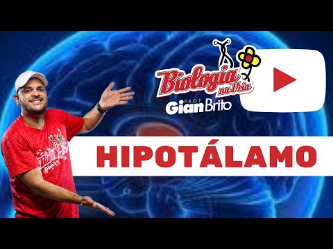 HIPOTÁLAMO