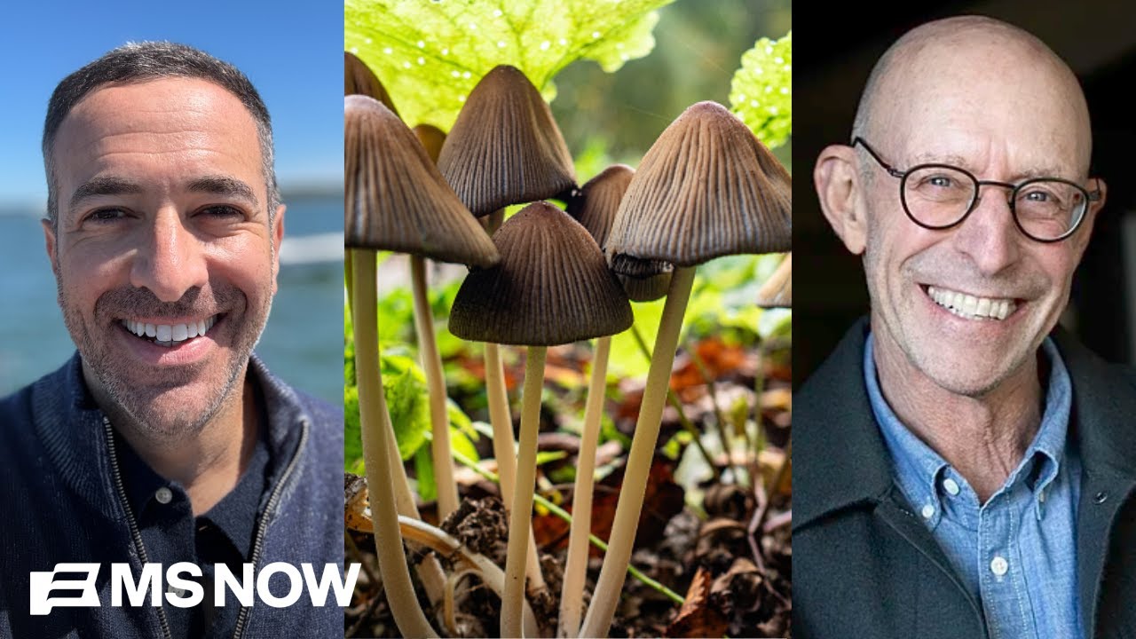 What makes you human? Ari has EPIC, BONKERS chat with LSD guru Michael Pollan