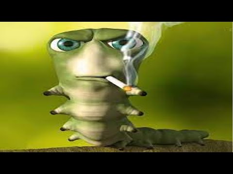 The Binding of Isaac: Repentance | Unlocking Tainted Eden Speedrun 0:13 (Random Seed WR)