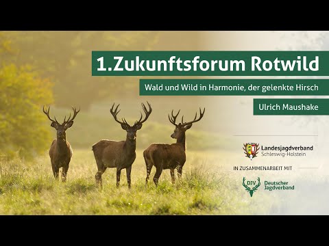 Zukunftsforum Rotwild | Teil 5: Der gelenkte Hirsch
