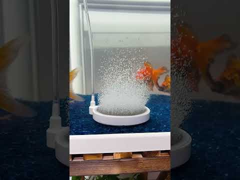 Ⓜ️Product Link in Comments!Ⓜ️ Mini Aquarium Oxygen Pump