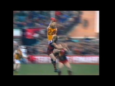Peter Knights Hawthorn Highlights