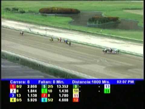 Resumen Domingo, 23 de Diciembre de 2012 - La Rinconada