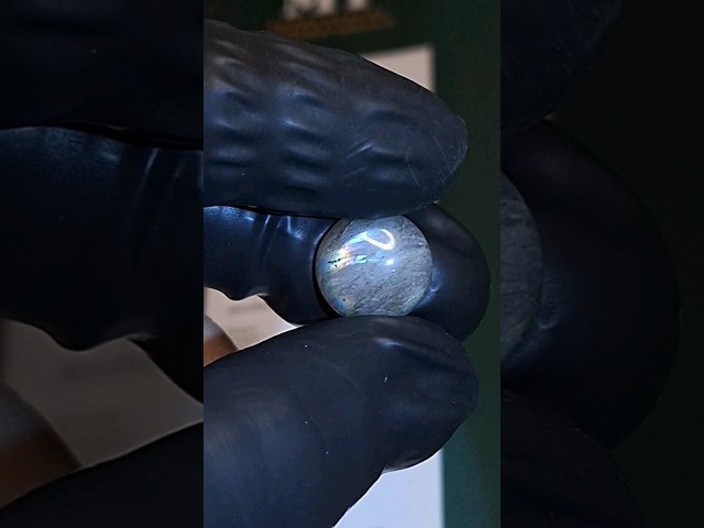 حجر الطاؤوس بتوهج جميل مفحوص طبيعي بشهادة مختبر