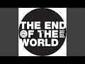 The End of the World (Remix)