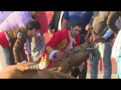 , title : 'pedro Luceiro pierde a su caballo Grano de Oro'
