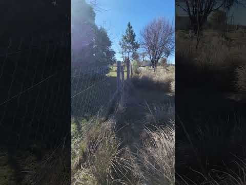 venta 2 dos lotes de 300 m2 cada uno al valor de 12.0000 dolares VILLA YACANTO DE CALAMUCHITA.