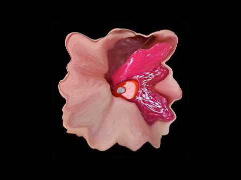 Valerie Ace - Cool Or Cruel [HARDWON006]