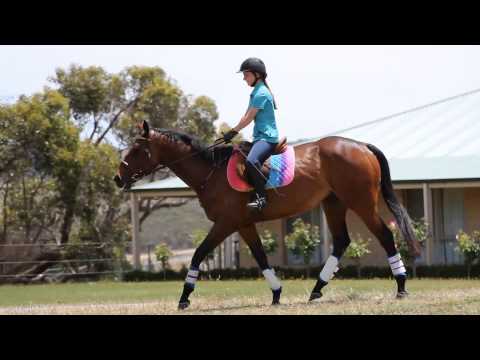 All these things we did