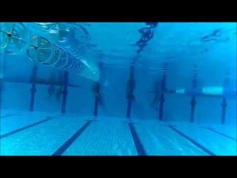 50 m dynamic apnea by patrikos dimos