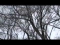 Magatha Trysty Saturday Dress Official Video
