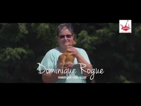 , title : 'Rogue Dominique - Eleveur de poulet fermier d'Auvergne - Sous titrage suédois'