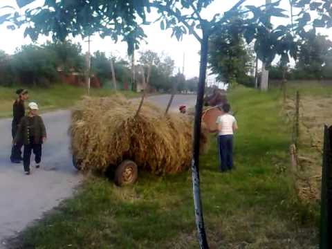 mozaceni marian putere