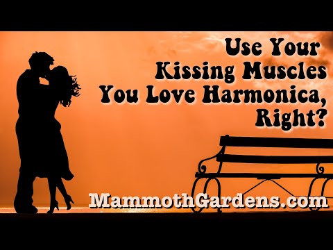 Diatonic and Chromatic Harmonica Class #153