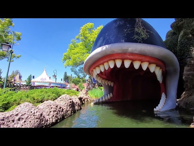 25 Disneyland Rides That You Need To Go On Ranked