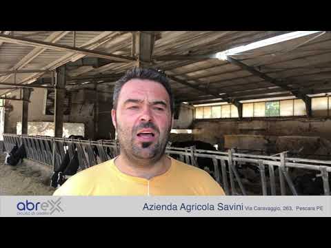 Azienda Agricola Savini