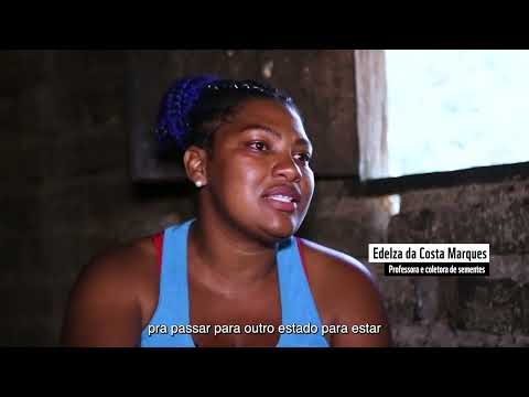Conheça o trabalho de restauração do Cerrado realizado pela Associação Cerrado de Pé