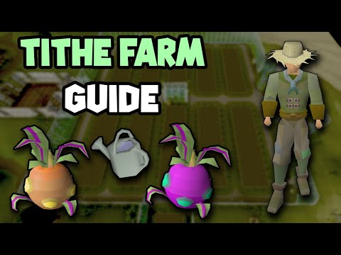 Tithe Farm Guide (OSRS Updated Tithe Farm Guide)