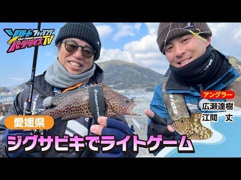 愛媛県・ジグサビキでライトゲーム（ソルパラTV・第126回2023年2月23日放送）