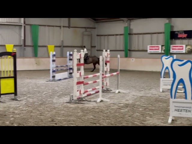 Small Course movie Daisy (Diarado x Lord Z), green horse but easy to ride.