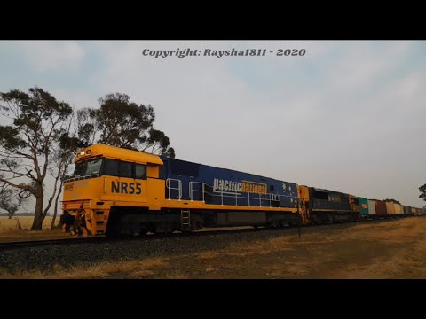 NR55-TT110 - Murgheboluc