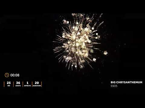 5505 - Big chrysanthemum