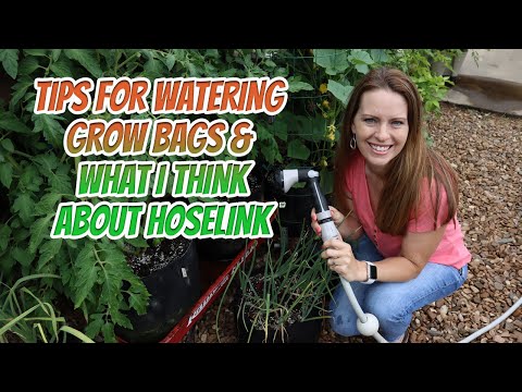 Tips for Watering Grow Bags & @hoselink Retractable Garden Hose Review