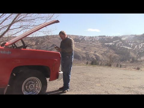 grafting season 2018 - day 9 - chainsaws for grafting