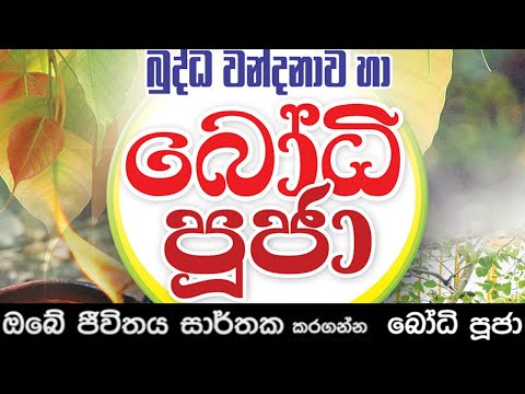 මහා බලසම්පන්න බෝධි පූජා   Bodhi Pooja