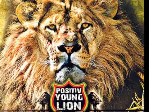 positiv young lion stoppons la violence feat dragon davy