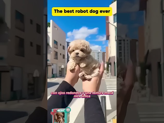 Vídeo relacionado con metaDog Shiba Inu | Perro Robot de Compañía Peluche Robótico Interactivo,Nombre personalizable con Ladridos, Movimiento de Cola y Latido Simulado Niños, Adultos y Mayores | Carga USB Tipo-C