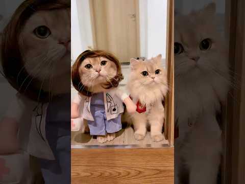 🙀: Siapa sangka, ternyata begini kenyataannya woi!