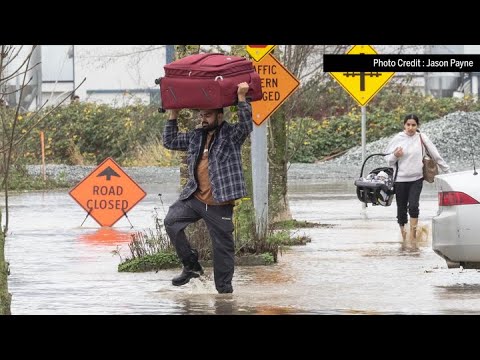 More rain in forecast as Abbotsford surveys flood damage