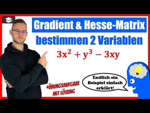 Gradient und Hesse Matrix bestimmen mit 2 Variablen