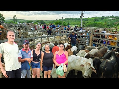 FEIRA DE ANIMAIS, SÍTIO CAMARADA, CUMARU - PE | 19/04/2026