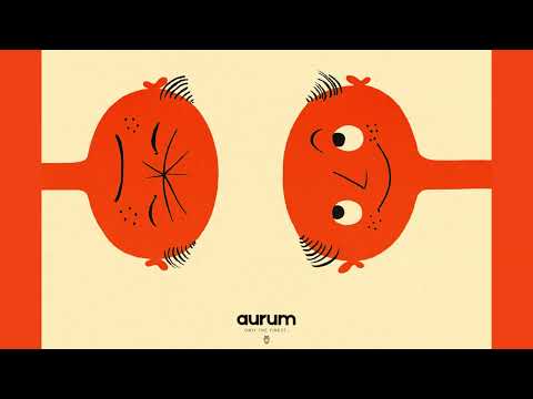 ✨ Smooth Funk & Acid Jazz Fusion | Retro Groove Society ✨