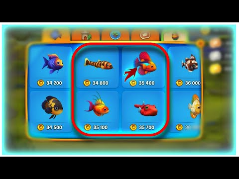 FISHDOM : WOW !!! I Buy Most Expensive Fish At Level " 3790 "