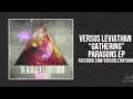 Versus Leviathan-Gathering