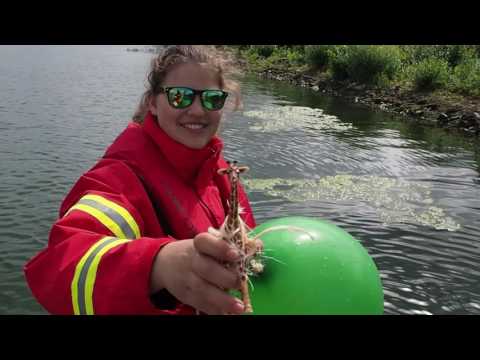 Azubi Star 2017- Sabrina Kölblin