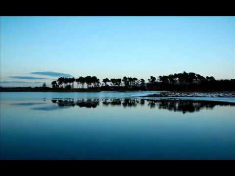 Shogun_feat__Emma_Lock_-_Save_Me__with_lyrics_.avi