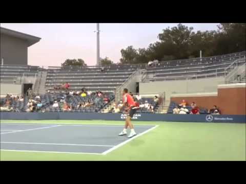 Lukáš Rosol vs. Lleyton Hewitt