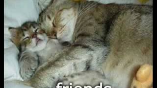 FRANKIE PAUL-LOSE YOUR LOVE