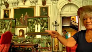 preview picture of video 'Suzie visits Calke Abbey 26th July MMX1V'