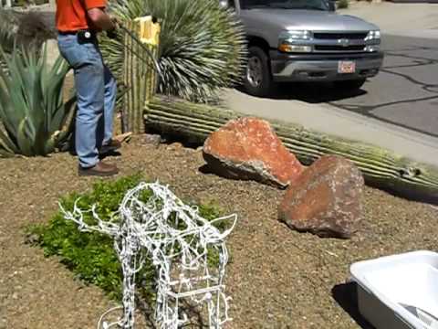 Kevin Cutting Down The Dead Cactus